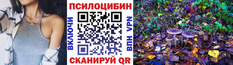 Псилоцибиновые грибы Cubensis  Хилок 